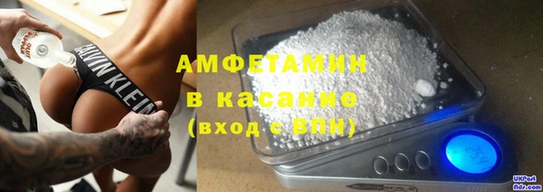 индика Ладушкин