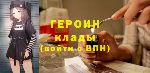 индика Ладушкин