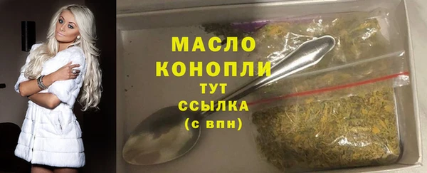 индика Ладушкин