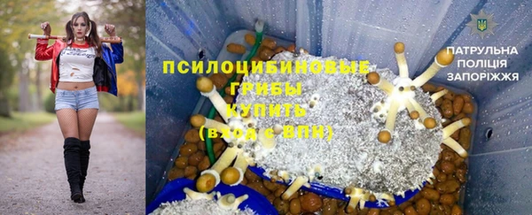 индика Ладушкин