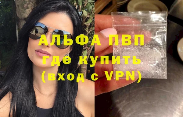 индика Ладушкин