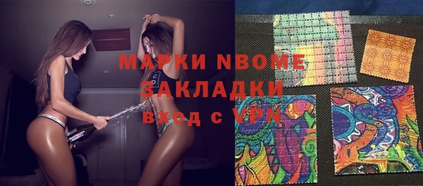 индика Ладушкин