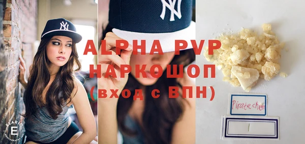 индика Ладушкин