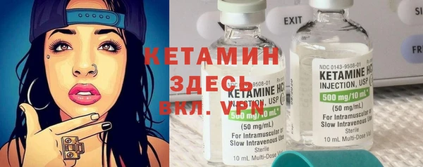 индика Ладушкин
