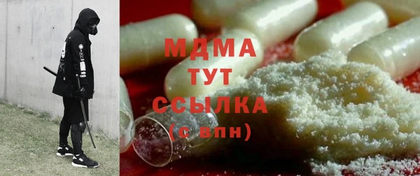 индика Ладушкин