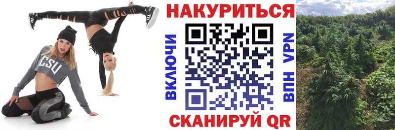 Купить где  Ясный  Бошки Шишки SATIVA & INDICA 